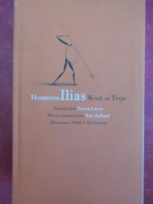 Homeros Ilias wrok in Troje, Boeken, Literatuur, Gelezen, Nederland, Ophalen of Verzenden