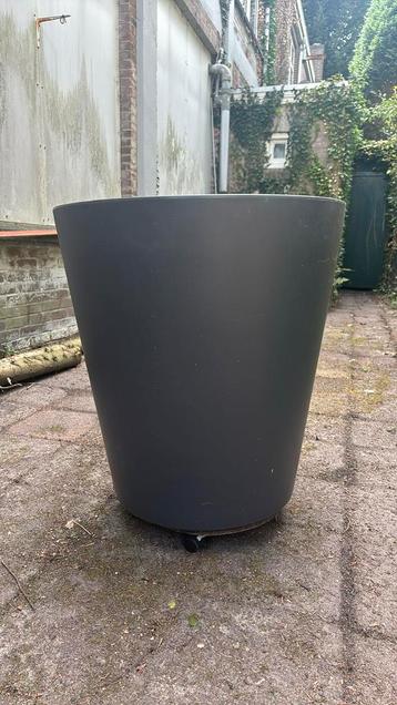 Grote plantenbak van Elho Grijs beschikbaar voor biedingen