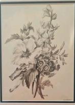 Miems van Citters - Sepia Aquarel Bloemen, Ophalen of Verzenden