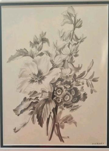 Miems van Citters - Sepia Aquarel Bloemen beschikbaar voor biedingen
