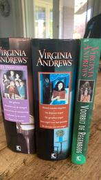 Virginia Andrews - De Dawn-serie omnibus, Boeken, Virginia Andrews, Ophalen of Verzenden, Zo goed als nieuw, Nederland