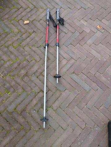 Gipron verstelbare skistokken 80-110 cm beschikbaar voor biedingen