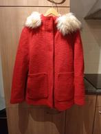 Rode wollen jas mt L, Ophalen, Zo goed als nieuw, Maat 42/44 (L), Rood