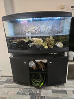 aquarium met schildpadden, Overige typen, Gebruikt, Ophalen