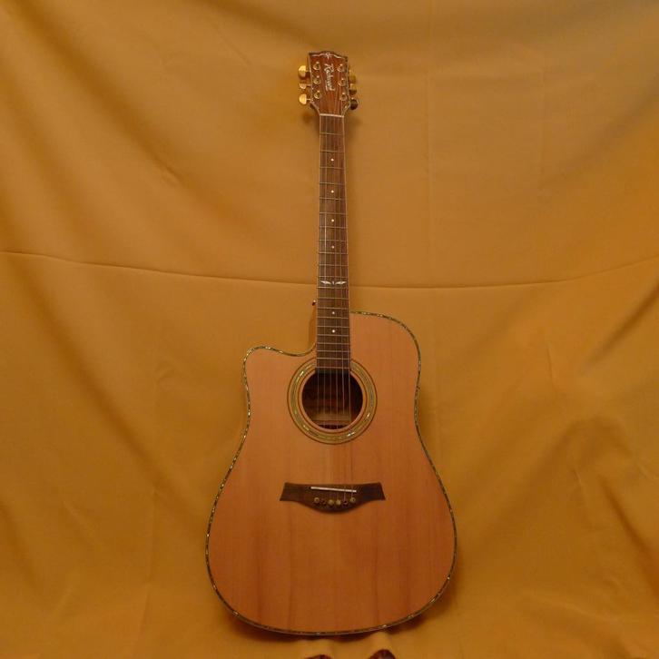 linkshandige gitaar Richwood elektrisch akoestisch RD-26LCE, Muziek en Instrumenten, Snaarinstrumenten | Gitaren | Akoestisch