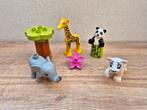 73. Duplo 10906 Baby dieren, Kinderen en Baby's, Speelgoed | Duplo en Lego, Ophalen of Verzenden, Duplo