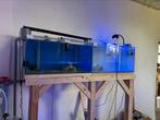 Kweek aquariums (stelling), Ophalen of Verzenden, Leeg aquarium