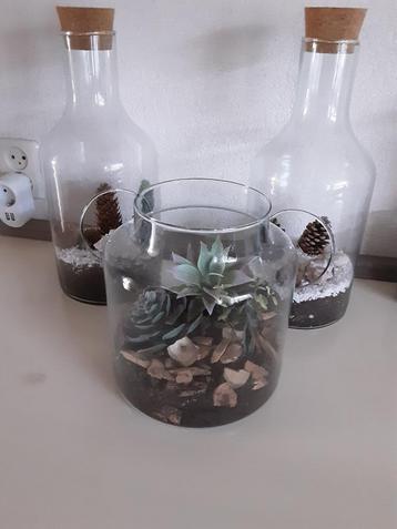 GRATIS Glazen vazen en potten  beschikbaar voor biedingen