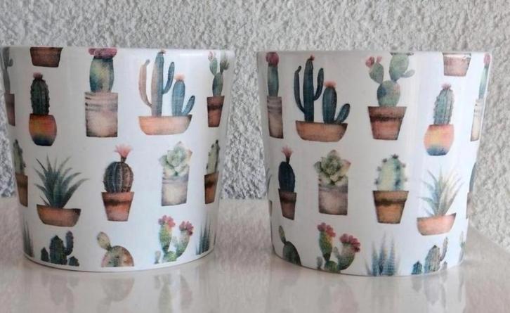 Twee Bloempotten met Cactus opdrukken, Tuin en Terras, Bloempotten, Zo goed als nieuw, Aardewerk, Minder dan 40 cm, Minder dan 25 cm