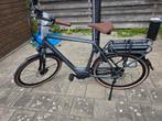 Pegasus Siena E8F 2024 - Heren

65cm 500 accu NIEUW, Nieuw, 59 cm of meer, 50 km per accu of meer, Ophalen