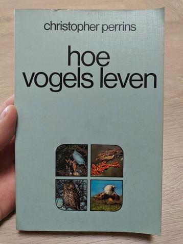 Christopher Perrins - Hoe Vogels Leven beschikbaar voor biedingen