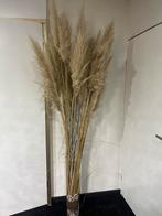 Pampas bloemen met vaas., Huis en Inrichting, Woonaccessoires | Droogbloemen, Ophalen of Verzenden, Zo goed als nieuw