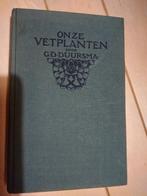 onze vetplanten, Antiek en Kunst, Ophalen of Verzenden