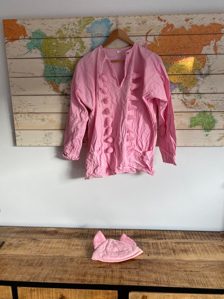 Roze varkens kiel, Kleding | Dames, Ophalen of Verzenden, Gedragen, Maat 38/40 (M), Carnaval