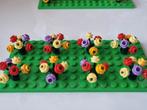 8 nieuwe lego bloemen in 4 kleuren met earth green takken, Ophalen of Verzenden, Nieuw, Losse stenen, Lego