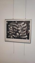 Escher - Band of Union Lithografie, Antiek en Kunst, Kunst | Etsen en Gravures, Ophalen of Verzenden