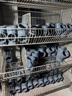 Grote partij druk PVC fittingen 16-315mm, Doe-het-zelf en Verbouw, Buizen en Afvoer, Ophalen, Pvc, 6 meter of meer, Overige typen