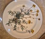 Volleroy en Boch  2 diner borden, Ophalen of Verzenden