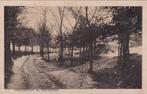 Ansichtkaart 1928 Doetinchem Boschgezicht, Ophalen of Verzenden, 1920 tot 1940, Gelopen, Gelderland