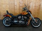 HARLEY-DAVIDSON NIGHT ROD VRSCD (bj 2006), Motoren, Motoren | Harley-Davidson, 2 cilinders, Bedrijf, Meer dan 35 kW, Overig