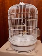 vogelkooi wit, Dieren en Toebehoren, Vogels | Hokken en Kooien, Ophalen of Verzenden, Zo goed als nieuw, Metaal, Vogelkooi