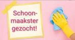 Schoonmaakster gezocht in Nijverdal, Overige uren, Overige niveaus, Overige vormen