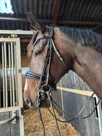 Bridle2fit s&t, Dieren en Toebehoren, Ophalen of Verzenden, Gebruikt, Dressuur