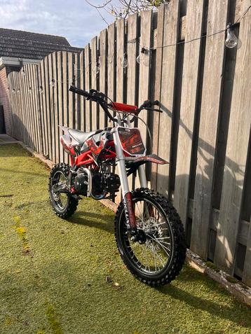 Hele nette pitbike 125cc beschikbaar voor biedingen