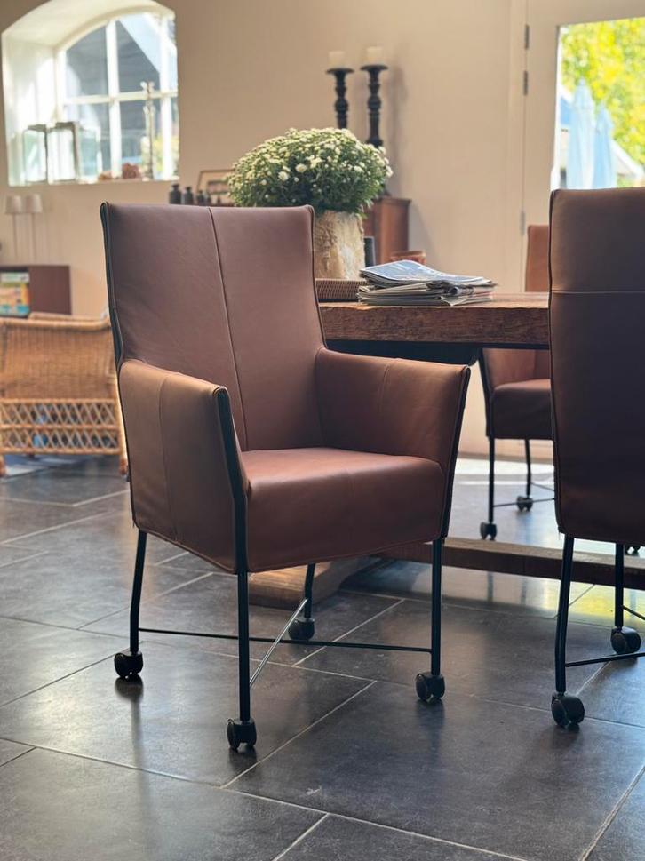 6x eetkamerstoel Montis CHAPLIN (kleur naar keuze), Huis en Inrichting, Stoelen, Nieuw, Vijf, Zes of meer stoelen, Leer, Metaal