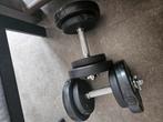 Halterset 20 kg, Ophalen, Zo goed als nieuw, Halterset