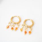 Oorbellen met carneool, Overige materialen, Hangers, Nieuw, Oranje