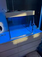 Juwel Lido 120 Zeeaquarium, Ophalen, Zo goed als nieuw, Leeg aquarium