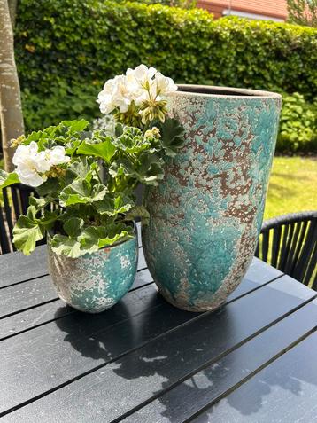Bloempotten beschikbaar voor biedingen
