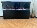 Groot Aquarium 220 cm bij 70 cm, Ophalen of Verzenden, Zo goed als nieuw