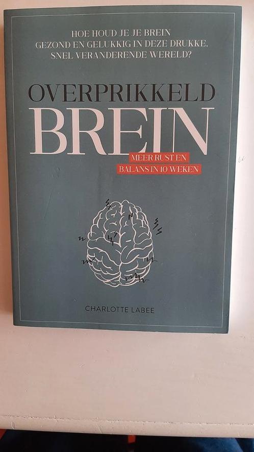 Charlotte Labee - Overprikkeld brein - nieuwstaat, Boeken, Psychologie, Zo goed als nieuw, Ophalen of Verzenden