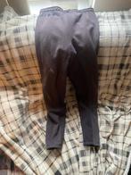 Bruine winter rijbroek XL, Dieren en Toebehoren, Paardrijkleding, Dressuur, Zo goed als nieuw, Dames, Onderkleding