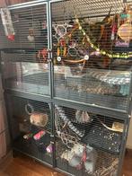 Knaagdieren hok, Dieren en Toebehoren, Ophalen, Kooi, Hamster, 90 cm of meer