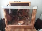 Aangeboden compleet terrarium, Ophalen, Gebruikt, Terrarium of Paludarium