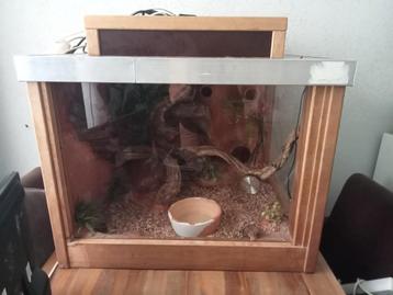 Aangeboden compleet terrarium  beschikbaar voor biedingen
