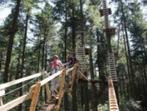 20% Korting Fun Forest Klimparken, Tickets en Kaartjes, Drie personen of meer, Kortingskaart