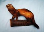 Vintage taxidermie Opgezette dier fret open bek wezel otter, Ophalen of Verzenden, Zo goed als nieuw, Wild dier, Opgezet dier