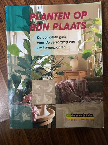 Planten op hun plaats plantenverzorging beschikbaar voor biedingen