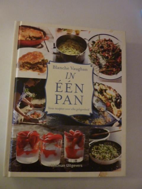 Blanche Vaughan - In één pan, Boeken, Overige Boeken, Zo goed als nieuw, Ophalen of Verzenden