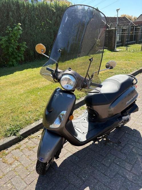 Sym Fiddle 2 50S (45km/u), Fietsen en Brommers, Scooters | SYM, Gebruikt, Fiddle, Maximaal 45 km/u, Benzine, Ophalen