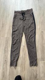 G-maxx dames legging S valt iets ruimer, Bruin, Nieuw, Ophalen of Verzenden, Maat 36 (S)