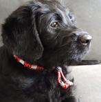 Honden Anti Vlooien- & Tekenband EM-X Kralen, Dieren en Toebehoren, Honden-accessoires, Verzenden, Nieuw