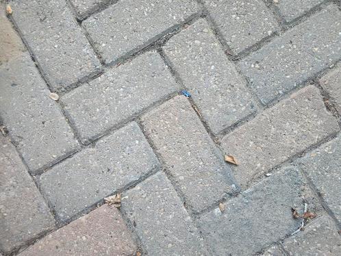 -Gratis betonklinkers / straatklinkers – zelf ophalen 16 m2, Tuin en Terras, Tegels en Klinkers, Gebruikt, Klinkers, Overige materialen