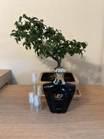 Afnan Turathi Blue parfum sample/decant, Ophalen, Zo goed als nieuw