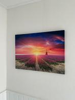 Canva Tulpen 70 x 50, Ophalen, Zo goed als nieuw, Schilderij, 50 tot 75 cm