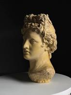 Hoofd Beeld Apollo, Ophalen